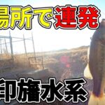 【印旛沼水系】遅ればせながら2025年初動画です！