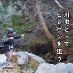 2025渓流釣り開幕です／愛知県 巴川