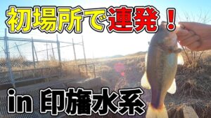 【印旛沼水系】遅ればせながら2025年初動画です！
