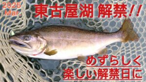 【東古屋湖】2025 ついに解禁!! 穏やかで楽しい解禁日