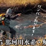 2025渓流釣り解禁【渓流ルアー】はじまりの渓にマッチョヤマメを引き出す