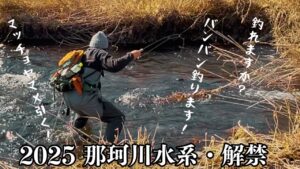 2025渓流釣り解禁【渓流ルアー】はじまりの渓にマッチョヤマメを引き出す