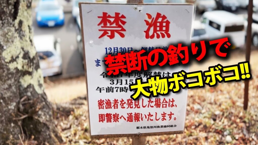 禁漁中の場所で釣りしてみたらヤバいことになった【東古屋湖2025・エリアトラウト・管理釣り場】