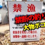 禁漁中の場所で釣りしてみたらヤバいことになった【東古屋湖2025・エリアトラウト・管理釣り場】