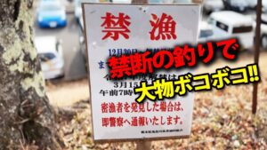 禁漁中の場所で釣りしてみたらヤバいことになった【東古屋湖2025・エリアトラウト・管理釣り場】