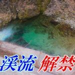 【渓流解禁】佐渡最大天然淵へ侵攻！しかし今年の魚はなにか様子がおかしい？〈2025年３月中旬〉