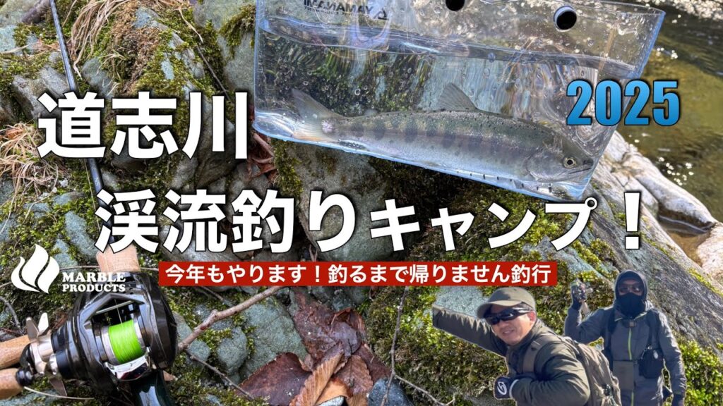 【道志川】渓流ルアー釣りキャンプ/ヤマメが釣れるまで帰れません2025【ベイトフィネス】【道志ヤマメ】