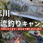 【道志川】渓流ルアー釣りキャンプ/ヤマメが釣れるまで帰れません2025【ベイトフィネス】【道志ヤマメ】