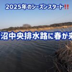 【バス釣り】2025年の印旛沼中央排水路のバス釣りスタート！！　プラグで釣れる季節になりまし🎵