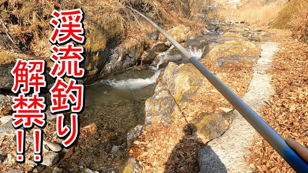 【渓流釣り】2025シーズン開幕！