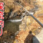 【渓流釣り】2025シーズン開幕！