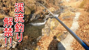 【渓流釣り】2025シーズン開幕！