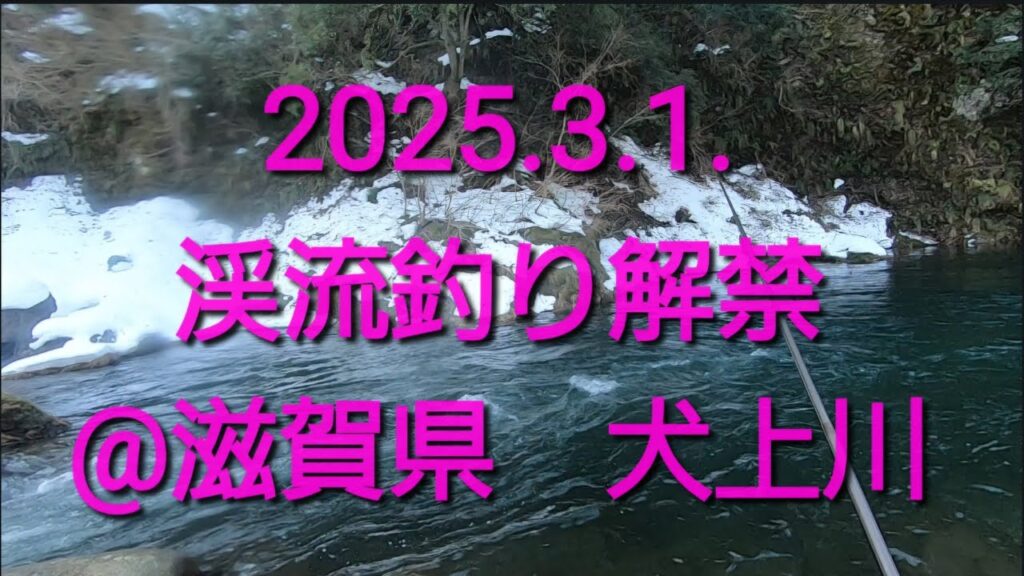 2025 渓流釣り解禁‼️（3/1 滋賀県　犬上川）