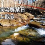 失敗から学ぶ釣り　2025年・渓流解禁　激戦区に散る！【渓流釣り】