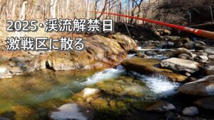 失敗から学ぶ釣り 2025年・渓流解禁 激戦区に散る!【渓流釣り】