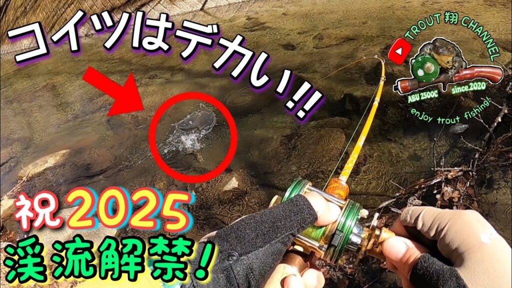 【2025渓流解禁】えっ…解禁初日からデカ大イワナ釣れたんだが…