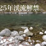 2025年渓流解禁釣行