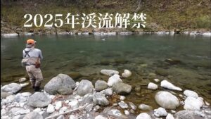2025年渓流解禁釣行