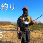 【渓流釣り解禁2025】東北の渓流解禁は期待してはいけない・・・