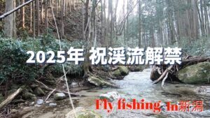【2025 渓流フライフィッシング in新潟】2025年祝渓流解禁
