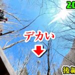 2025.3.1"真木川"渓流解禁後編【魚群発見】桂川支流でヤマメ＆イワナが入れ掛かり