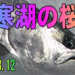 2025.3.12　阿寒湖の氷上サクラマス釣り　活性の低いサクラマス攻略方法を考察　ワカサギ釣りメジャーエリア：糠平湖・金山湖・網走湖・朱鞠内湖