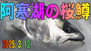 2025.3.12 阿寒湖の氷上サクラマス釣り 活性の低いサクラマス攻略方法を考察 ワカサギ釣りメジャーエリア:糠平湖・金山湖・網走湖・朱鞠内湖
