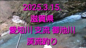 2025.3.15.滋賀県　愛知川 支流 御池川