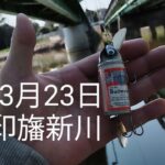 印旛沼水系　印旛新川バス釣り？　鵞足炎は痛いッス！2025.3.23