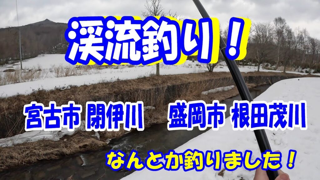 2025.3.25 渓流釣り！閉伊川上流と根田茂川で釣りました!