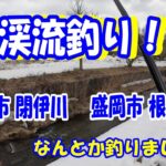 2025.3.25 渓流釣り！閉伊川上流と根田茂川で釣りました!
