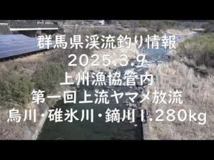 群馬県渓流釣り情報 2025.3.9 上州漁協管内ヤマメ放流1,280kg 烏川・碓氷川・鏑川 烏川の様子