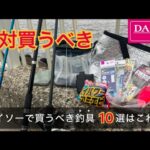 【2025年版】1年以上使い込んで分かった釣り初心者がダイソーで買うべき釣具10選はこれ！