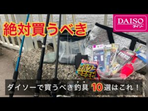 【2025年版】1年以上使い込んで分かった釣り初心者がダイソーで買うべき釣具10選はこれ!