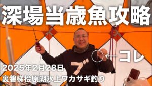 2025年2月28日裏磐梯桧原湖氷上ワカサギ釣り【深場当歳魚攻略】【クリーク】【DIABLO JOKER】【ERUZA 8】