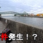 【神奈川県某所】釣り餌の検証中に大事件発生！真冬の関東地方の東京湾の釣り場で、マルキューの旨〆ソルトと業務スーパーのうまみ調味料で締めたサバの切り身で、釣果の比較をしていたら…！【2025年3月上旬】