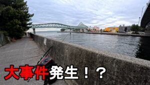 【神奈川県某所】釣り餌の検証中に大事件発生!真冬の関東地方の東京湾の釣り場で、マルキューの旨〆ソルトと業務スーパーのうまみ調味料で締めたサバの切り身で、釣果の比較をしていたら…!【2025年3月上旬】