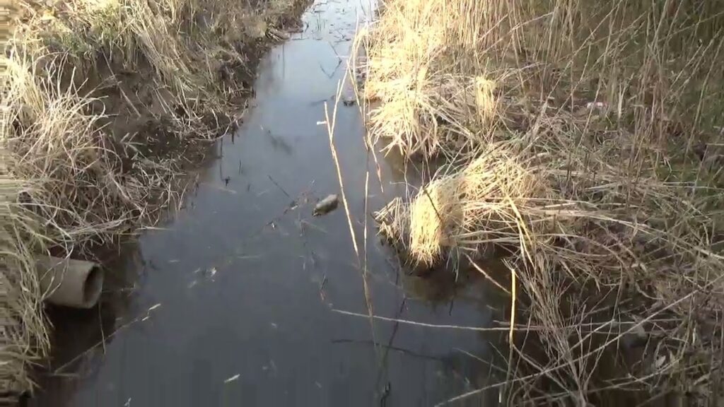 【小物釣り】下手賀沼の周辺にあるホソで小物釣り 2025年3月上旬