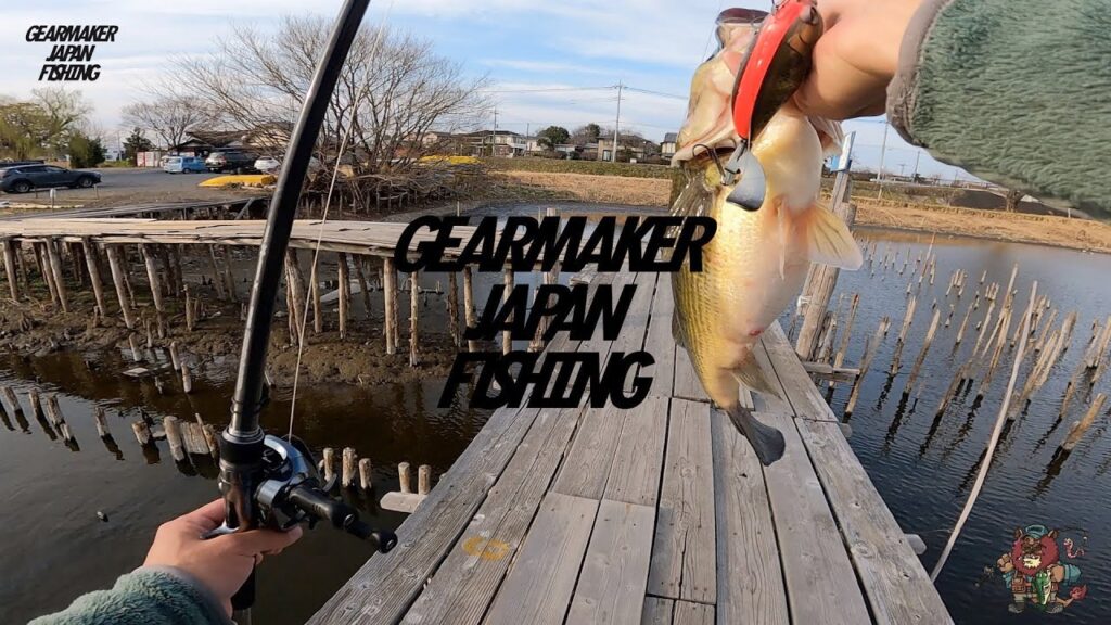 【多々良沼】バス釣り 2025年3月中旬  イヴォークゼロ150 陸っぱり初バス