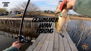 【多々良沼】バス釣り 2025年3月中旬 イヴォークゼロ150 陸っぱり初バス