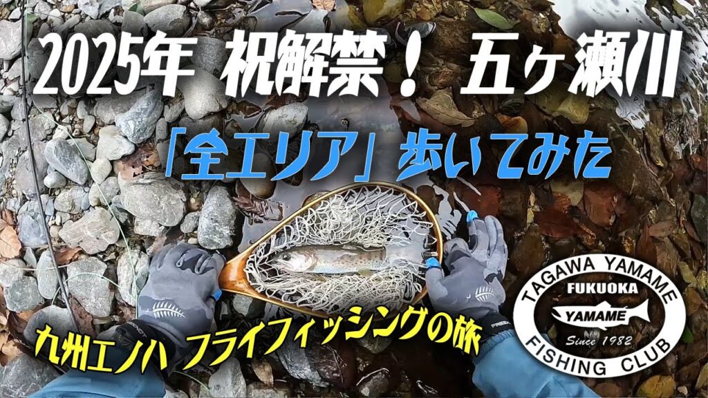 2025年3月　祝解禁！「五ヶ瀬川」全エリア探釣　宮崎県　ヤマメ　フライフィッシング