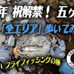 2025年3月　祝解禁！「五ヶ瀬川」全エリア探釣　宮崎県　ヤマメ　フライフィッシング