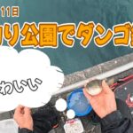 【釣り】2025年3月11日　海釣り公園でダンゴ釣り【ダンゴ釣り】