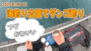 【釣り】2025年3月11日　海釣り公園でダンゴ釣り【ダンゴ釣り】