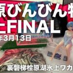 2025年3月13日裏磐梯桧原湖氷上ワカサギ釣り【森のうた】【ソロ氷上】【桧原びんびん物語】