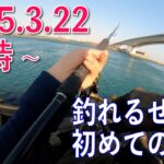 初めてのジグ　2025年3月22日15時~　浜名湖新居弁天海釣り公園　ブリは未だに駐在中　まだまだ終わらない浜名湖のショアジギング　シャクリを極める者が青物を制す　ってか。