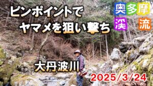 【奥多摩渓流釣り】大丹波川に入渓。放流されたニジマスはほとんどが釣られて魚影が見られず。有望ポイントでヤマメを拾い釣り。2025/3/24