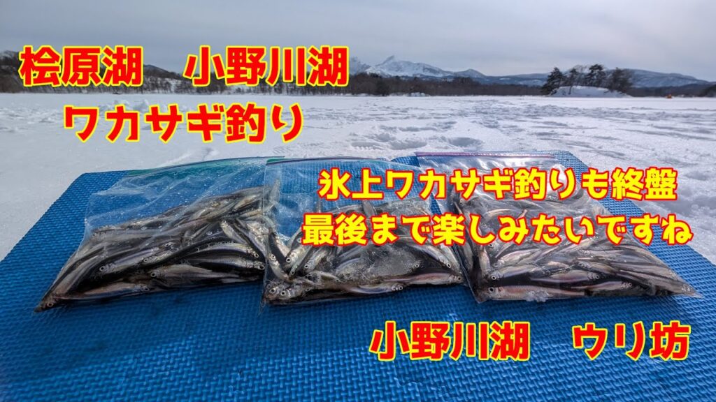 2025年3月8日　小野川湖　氷上テントでワカサギ釣り　あと何回行けるのか？　シーズンも終わりですね