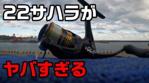 管理釣り場、渓流用に買った22サハラC2000SHGがめちゃくちゃ良い！