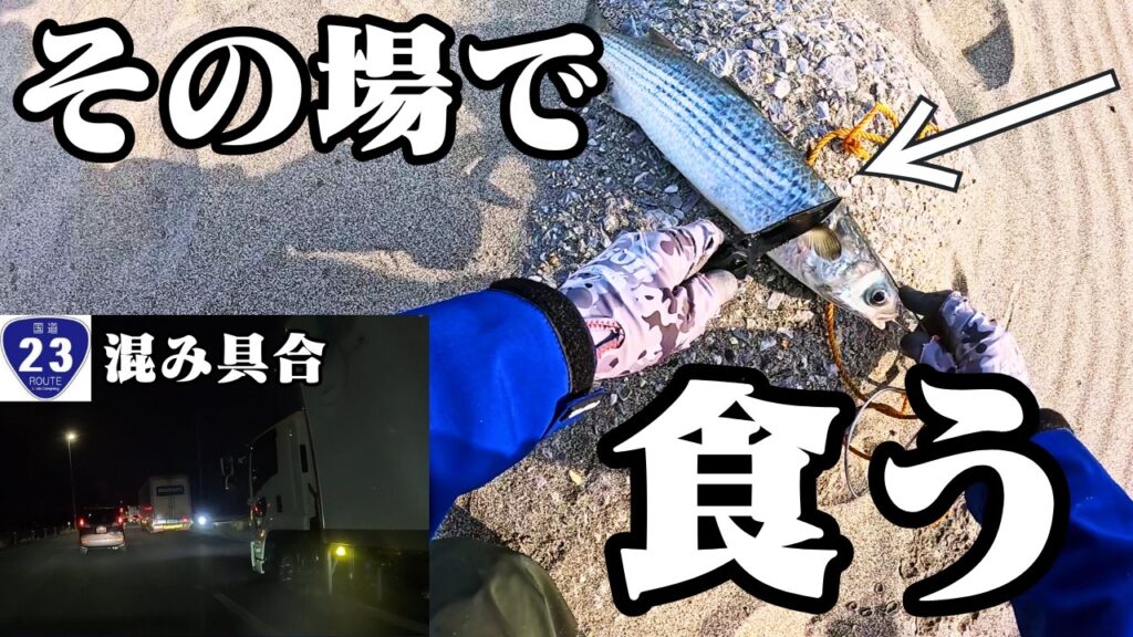 『開通後23号線の混み具合あり』遠州灘サーフの満潮付近でベイトなど大量に入って釣れました🐟in遠州灘、田原サーフ【釣行日2025/03/10(月)】